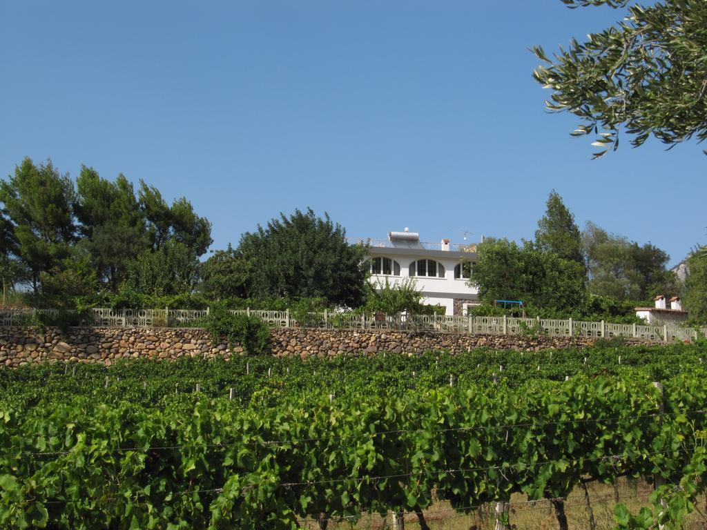 Villa Maria Dorgali Extérieur photo